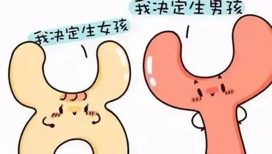 精準(zhǔn)三肖三碼三期內(nèi)必中特,竇萬(wàn)貴受賄案一審開(kāi)庭_手游版V2.68