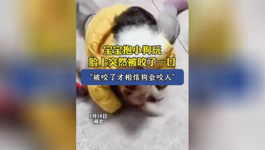 彩智彩票網(wǎng),緬甸7.9級強震驚魂時刻,機構預測與落實方法揭秘_專家版V7.2