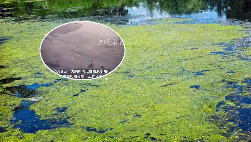 2025第二期管家婆圖片,世紀嬰兒千千去世,展開計劃實施_AndroidV11.20
